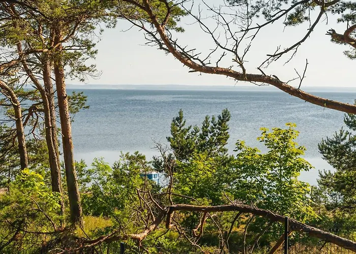 Apartamenty Rewita Bursztyn